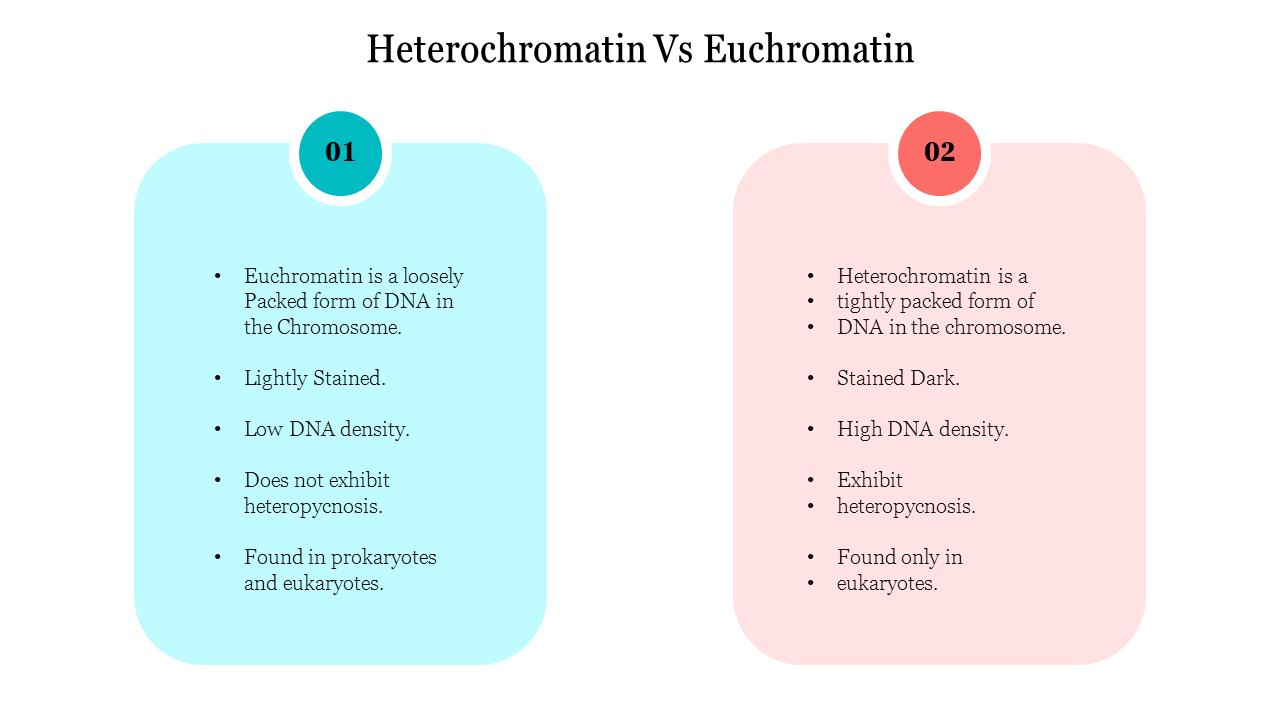 Heterochromatin VS Euchromatin